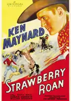plakat filmu Strawberry Roan
