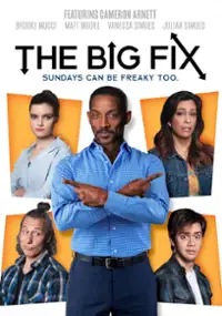Plakat filmu The Big Fix