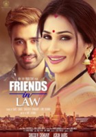 plakat filmu Friends in Law