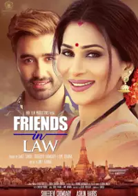 Plakat filmu Friends in Law