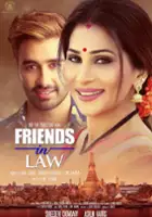 Gandhar Mokashi / Friends in Law