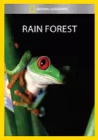 plakat filmu Rain Forest