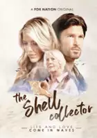 Nancy Naigle / The Shell Collector