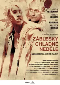 Plakat filmu Záblesky chladné neděle