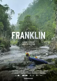 Plakat filmu Franklin