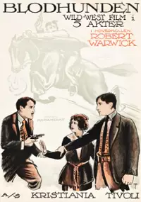 Plakat filmu In Mizzoura