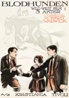 plakat filmu In Mizzoura