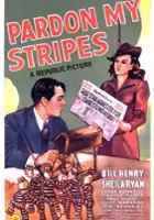 plakat filmu Pardon My Stripes