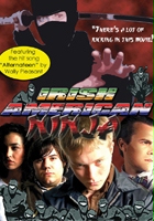 plakat filmu Irish American Ninja
