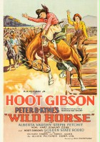 plakat filmu Wild Horse