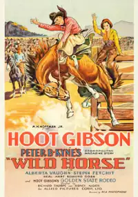 Plakat filmu Wild Horse