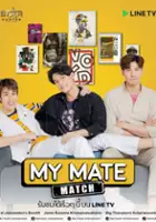 plakat serialu My Mate Match