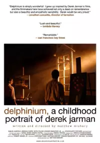 Plakat filmu Delphinium: A Childhood Portrait of Derek Jarman
