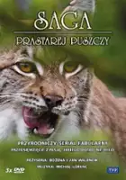 plakat serialu Saga prastarej puszczy