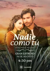 Plakat serialu Nadie como tú