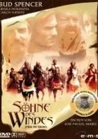 Plakat filmu Synowie wiatru