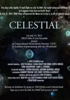 plakat filmu Celestial