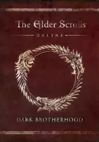 plakat filmu The Elder Scrolls Online: Dark Brotherhood