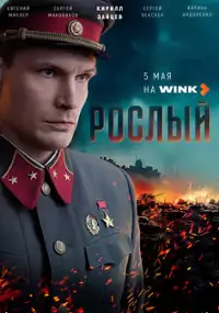 Plakat serialu Roslyy