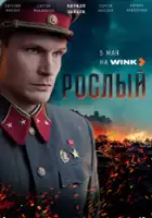 plakat serialu Roslyy