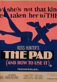 Plakat filmu The Pad and How to Use It