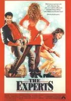 plakat filmu Eksperci