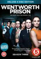 plakat - Wentworth. Więzienie dla kobiet (2013)