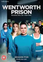 plakat - Wentworth. Więzienie dla kobiet (2013)
