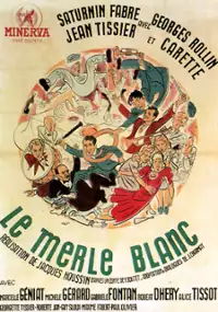 Plakat filmu Le merle blanc