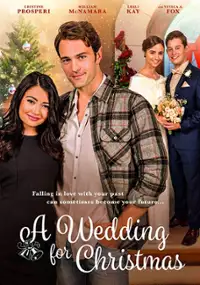 Plakat filmu A Wedding for Christmas