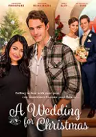 plakat filmu A Wedding for Christmas