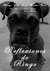 Plakat filmu Reflexiones de Ringo