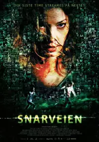 Plakat filmu Snarveien