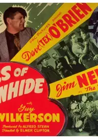 Plakat filmu Boss of Rawhide