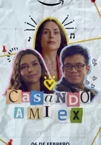 Plakat filmu Casando a mi Ex