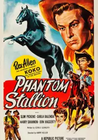 Plakat filmu Phantom Stallion