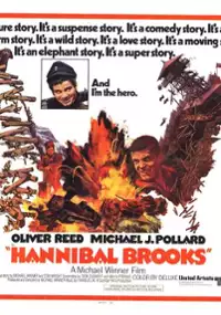 Plakat filmu Hannibal Brooks