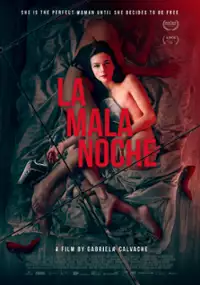 Plakat filmu Najdłuższa noc
