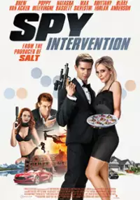 Plakat filmu Pan i pani szpieg