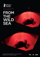 plakat filmu Z dzikiego morza