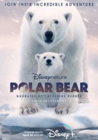 plakat filmu Niedźwiedzica polarna