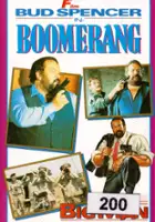 plakat filmu Il Professore - Boomerang