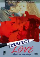 plakat filmu Idealna miłość