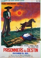 plakat filmu Rayando el sol