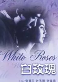 Plakat filmu Bai mei gui