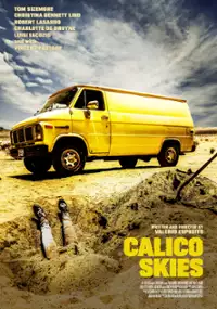 Plakat filmu Calico Skies
