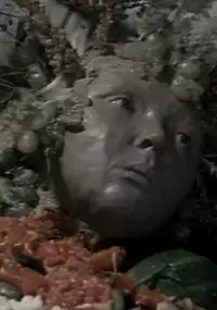 Plakat filmu Flora