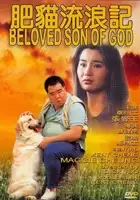 plakat filmu Fei mao liu lang ji
