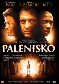 Plakat filmu Palenisko