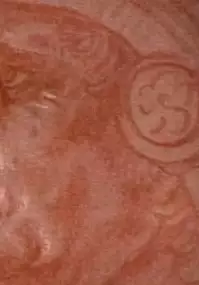 Plakat filmu Dziennik Leonarda